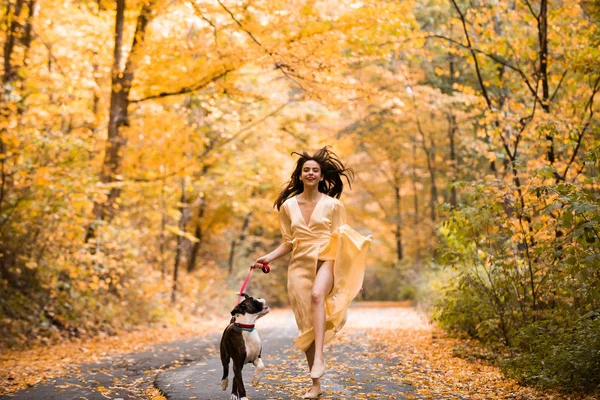 Menina e cachorro em passeio no belo parque natural de outono. Eles caminhando pelas folhas caídas na floresta no dia de outono . — Fotografia de Stock