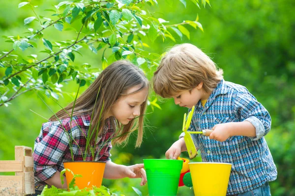 Brother and sister grows flowers together. Little kids work in yard with garden tools and have good time. Spring gardening routine. — Stock Photo, Image