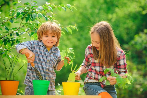孩子们在盆里种花。快乐的孩子在夏天的田野里。农场里的孩子和蔬菜。可爱的孩子们在农场里享受着. — 图库照片