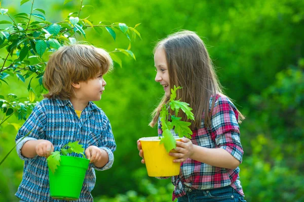 可爱的小孩在农场里玩得很开心。生态概念的孩子。和孩子一起园艺. — 图库照片
