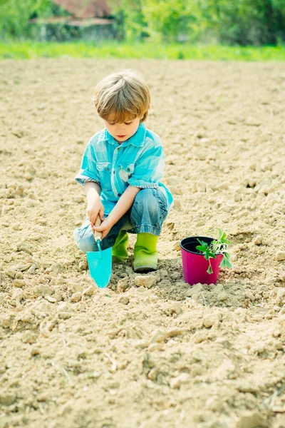 Heureux petit jardinier aux fleurs printanières. Enfants heureux usine de travail et de l'eau dans le jardin vert de printemps . — Photo