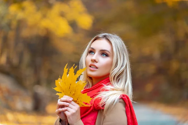 Close up portrait of blonde with angel beauty. Autumnal queen walking in the park. Attractive female holding fallen yellow leaves. Girl wearing bright red cozy and warm scarf. — Stock Photo, Image