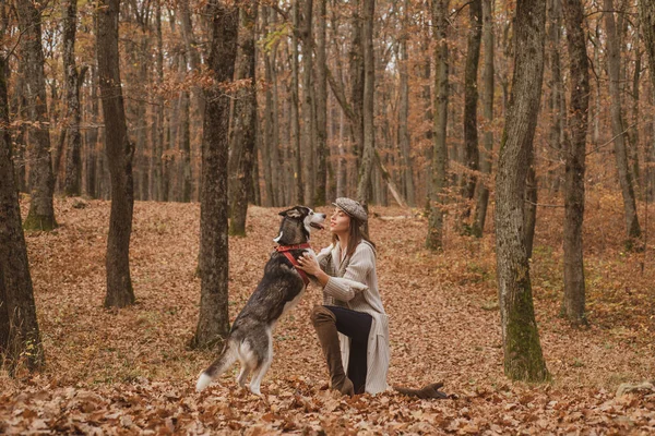 Holka s chraptivou chůzí lesem. Podzimní dívka kráčí s husky pes podzimní les. Dobře vypadající stylová dívka hraje se svým husky pes v podzimním lese. — Stock fotografie