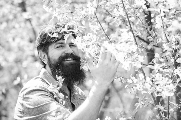 Rolnik badający uprawy figowe na plantacji lub na polu. Przystojny młodzieniec na wiosennym tle patrzący w kamerę. Rutyna wiosennego ogrodnictwa. — Zdjęcie stockowe