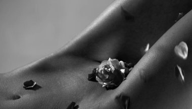 Genital sağlık kavramı. Seks korumak ve cinsel yaşam. Jinekolog gidecek. Adet döngüsü tahmin. Doğum kontrol hapları. Kadın hastalıkları. adet döngüsü tahmin. Genital bakım.