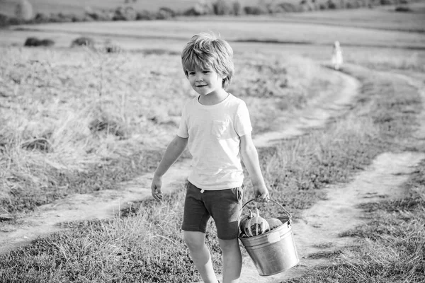 Njut av stunden. Gå på landet. Känslomässigt barn gå utomhus och njuta av promenader. En söt liten unge ler. Charmerande pojke. Lycklig liten unge. — Stockfoto