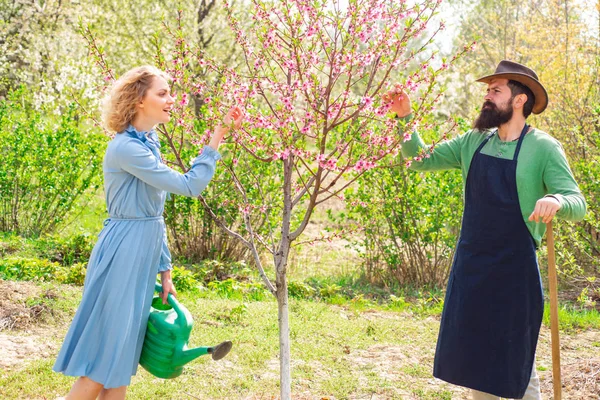 Propietario de una pequeña empresa que vende frutas y verduras orgánicas. Verduras orgánicas frescas de la granja. Vida en el campo. Pareja en la granja en el campo fondo . — Foto de Stock