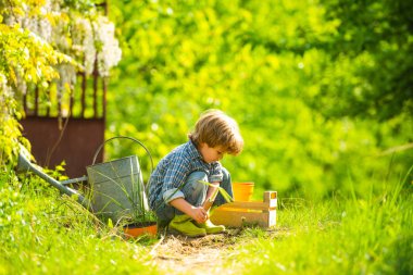 Son grows flowers. Crop planting at fields. Little helper in garden Planting flowers.