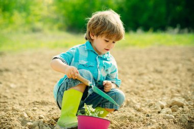 Child working in garden near flowers garden. Cute little boy watering plants in the garden at spring sunny day. Small boy enjoy childhood years on farm.