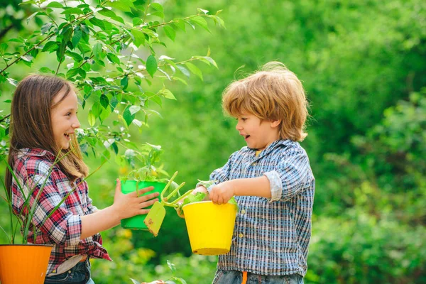 Plantando flores en maceta. Infancia en el campo. Pequeño niño y niña jardinería y divertirse en el patio de primavera . —  Fotos de Stock