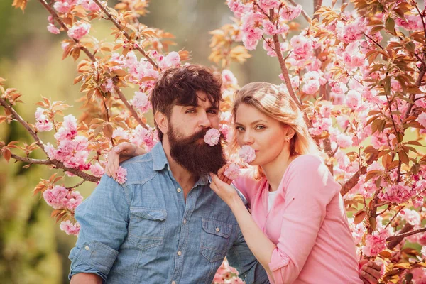 Paar in der Nähe eines Sachurabaums. Verliebte Paare genießen rosa Kirschblüten. Schönes verliebtes Paar draußen in der Frühlingsnatur. — Stockfoto