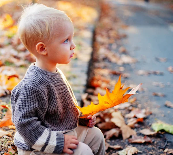 Criança bonita em uma camisola cinza na natureza de outono, cena aconchegante rural. O menino senta-se nas folhas de outono no parque. Menino feliz com cabelo loiro joga na bela noite de outono ensolarado . — Fotografia de Stock