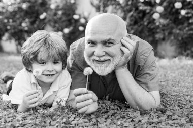 Two generation - weekend together. Two different generations ages: grandfather and grandson together. Happy family father and child on meadow with a kite in the summer on green grass.