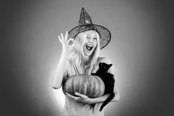Hexe mit Kürbis und schwarzer Katze. Kostüme und Hexenhüte. Werbe-Halloween-Konzept mit isolierten Mädchen-Aufklebern. Halloween-Konzept. bereit für Text Slogan oder Produkt. — Stockfoto