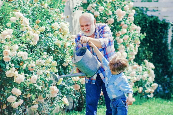 Gardening hobby. Grandson and grandfather spend time in the orchard. Watering flowers in garden. — Stock Photo, Image