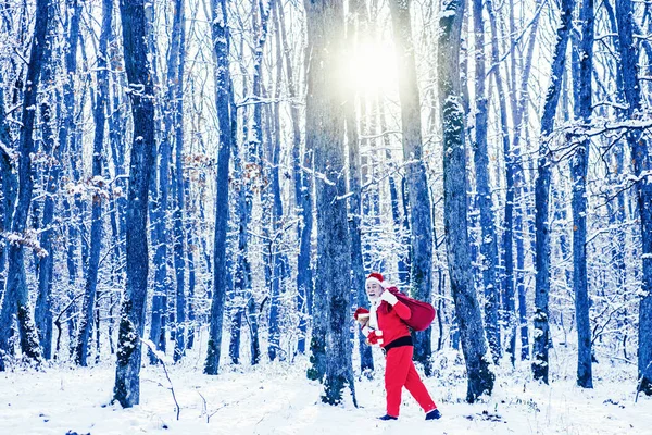 Noel Baba sihirli sis tarlada yürüyor. Noel kutlaması tatili. Noel Baba kış tarlasında. Kırmızı kostümlü Noel Baba kış ormanında yürüyor.. — Stok fotoğraf