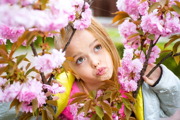 Sonriente niña pensativa mirando hacia arriba cerca del árbol floreciente. Retrato de una niña hermosa. Primer plano de la pequeña cara de modelo. Sakura floreciendo, hora de la tarde de primavera . —  Fotos de Stock