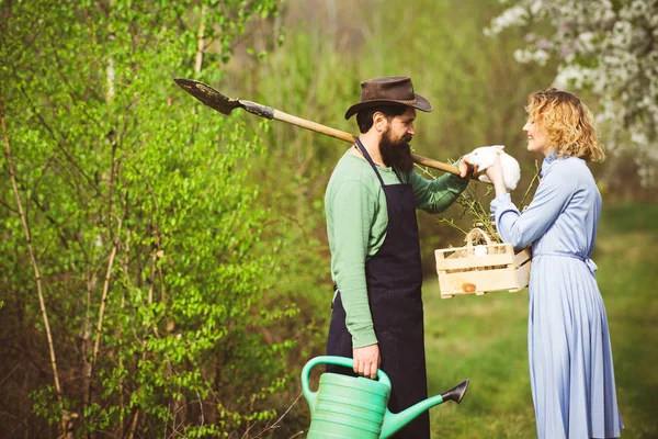 Esposa y marido plantando en el huerto. Jardinería en primavera: pareja feliz cosechando y divirtiéndose mucho . — Foto de Stock