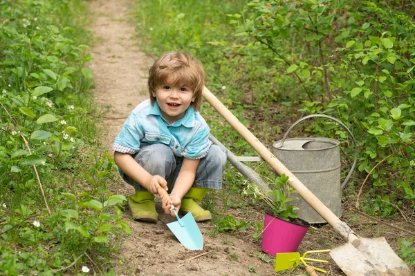 Children summer activities. Carefree childhood. Little Farmer boy examining Common fig crop in plantation or field. — Stockfoto