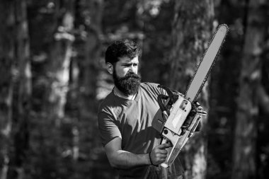 Odun yenilenebilir enerji kaynağı olarak kullanılıyor. Oduncu gibi poz veren şık bir genç adam. Odun yenilenebilir enerji kaynağı olarak kullanılıyor. Orman arka planında elektrikli testere olan oduncu..