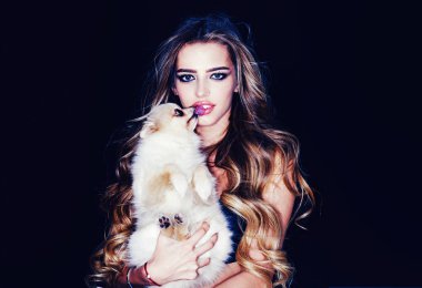 Güzellik kraliçesi olan sevimli bir ev köpeği. Pomeranya köpeği ya da köpek yavrusu. Güzel yüzlü bir mankenin portresi. Doğal ciltli kadın yüzünün güzel portresi..