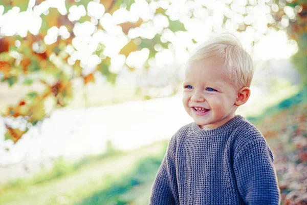 Peuter jongen blauwe ogen genieten van de herfst. Kleine baby peuter op zonnige herfst dag. Warmte en gezelligheid. Gelukkige kindertijd. Zoete jeugdherinneringen. Kind herfst bladeren achtergrond. Warme momenten van de herfst — Stockfoto