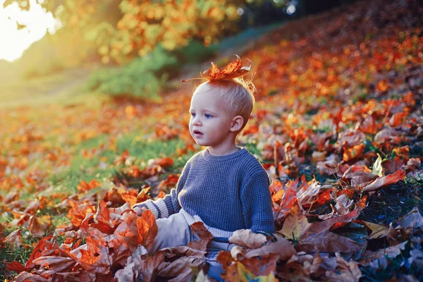 儿童秋叶背景.秋天温暖的时刻。小男孩的蓝眼睛喜欢秋天。在阳光明媚的秋日,幼儿蹒跚学步.温暖和舒适。快乐的童年甜蜜的童年回忆 — 图库照片