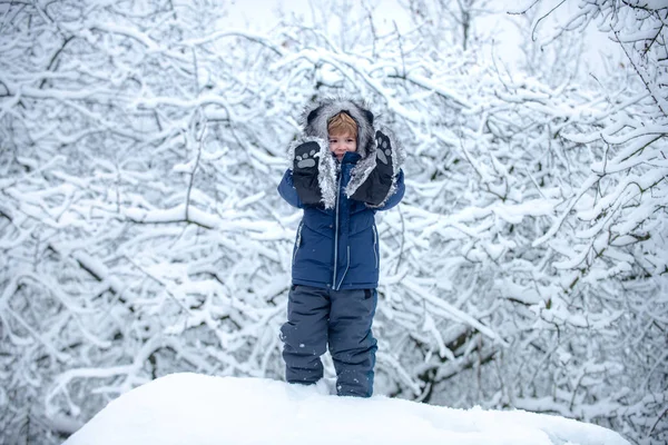 Kids having fun in white snow field against snowy trees. Boy dreams of winter time. Little Santa going in the winter on snow-covered field. — Stock Photo, Image