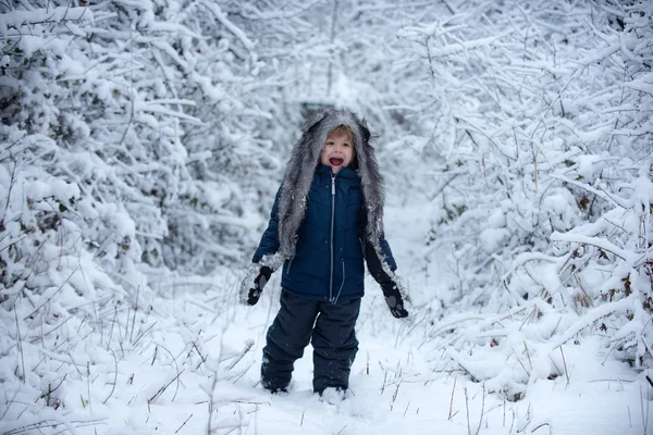 Niño de invierno posando y divirtiéndose. Retrato de invierno de un niño lindo en el jardín de nieve. Paisaje de invierno de bosque y nieve con niño lindo . — Foto de Stock