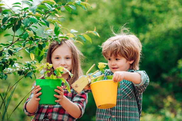 Αδελφή και αδελφός εργάζονται στο πεδίο. Ευτυχισμένα παιδιά αγρότες διασκεδάζουν στο ανοιξιάτικο χωράφι. Παιδιά φυτεύουν λουλούδια σε γλάστρα. — Φωτογραφία Αρχείου