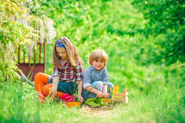 Kertészkedni egy gyerekkel. A gyerekek élvezik a farmot. A gyerekek a farmon festenek. Tavaszi kertészkedés. Boldog gyerekek a nyári pályán. — Stock Fotó