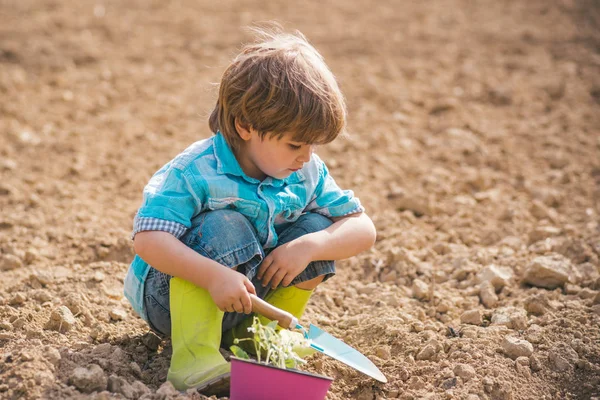 小さな男の子は農場で子供時代を楽しむ。春の畑でスパッドで働くかわいい小さな農家。春の畑で楽しむ幸せな小さな農家. — ストック写真