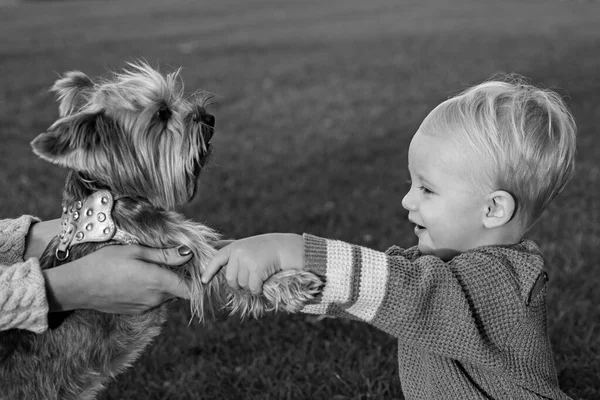 Une vraie amitié. Meilleurs amis pour toujours. Bonne enfance. De beaux souvenirs d'enfance. Les enfants jouent avec le chien terrier du yorkshire. Tout-petit garçon profiter des loisirs avec un ami chien. Petit bébé tout-petit promenade avec chien — Photo