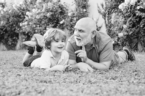 Happy family father and child on meadow with a kite in the summer on green grass. Men generation. Happy child with Grandfather playing outdoors. Grandfather with Son and Grandson having Fun in Park. — Stock Photo, Image
