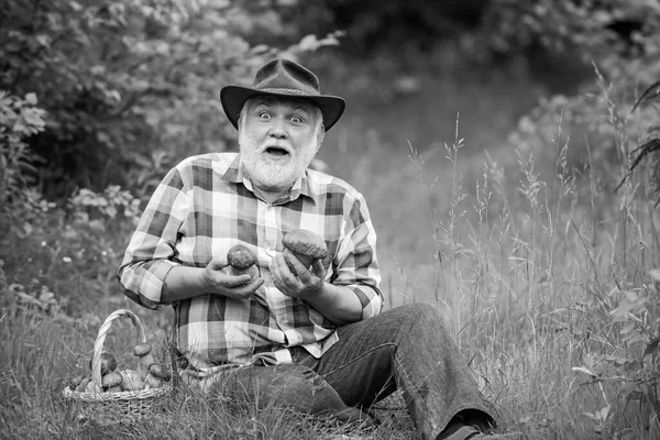 Grandfather with basket of mushrooms and a surprised facial expression. Mushrooming in forest, Grandfather hunting mushrooms over summer forest background. — Stock Photo, Image
