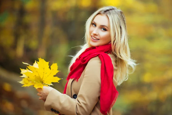 Girl wearing bright red cozy and warm scarf. Close up portrait of blonde with angel beauty. Autumnal queen walking in the park.Attractive female holding fallen yellow leaves. — Stock Photo, Image