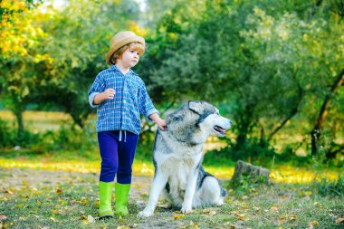 Mutlu küçük çocuklar sahada köpek evcil hayvanıyla eğleniyor. Çocuklar evcil köpekle birlikte yürüyüş yapıyorlar. Çocuk köpek evcil hayvanıyla gezintiye çıkıyor. Doğada eğleniyor..