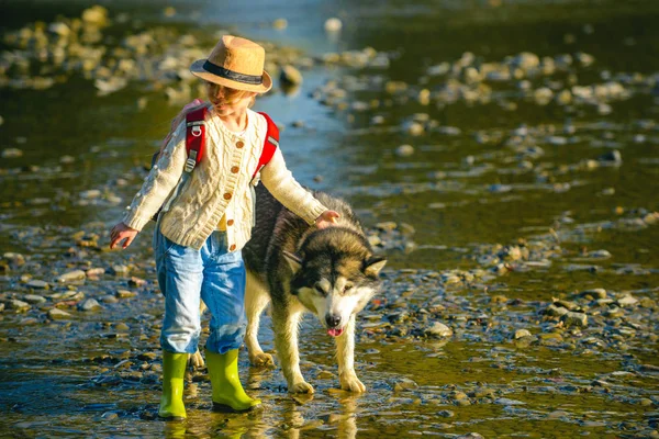 아이들 과 개들의 탐험. 화창 한 여름날 개와 함께 강을 걷고 있는 귀여운 아이들. 아름다운 자연 속의 어린이 관광객 과개. — 스톡 사진
