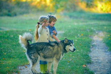 Erkek ve kız kardeş. Çocuk 5 yaşında. Güneşli bir yaz gününde tarlada köpek gezdiren sevimli çocuklar. Çocukluk konsepti. Çocuk turistler ve köpek güzel doğada..