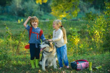 Yeşil tepede köpekli komik çocuk ve kız çocuğu birlikte yürüyorlar. Mutlu şirin çocukların yaz portresi. Köpek evcil hayvanı olan kız ve erkek kardeşler. Mutlu çocukluk anları.