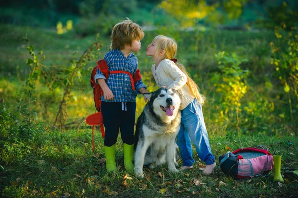 Τα παιδιά κάνουν πεζοπορία μαζί με το σκυλί συντροφιάς. Ρομαντικός και έρωτας. Γλυκιά παιδική ηλικία. — Φωτογραφία Αρχείου