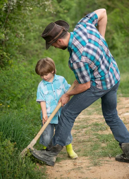 Отец и сын и в рубашке посадки дерева . — стоковое фото
