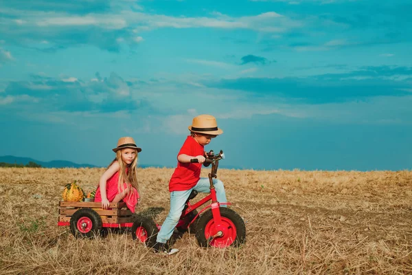 어린 시절의 기억들. 형제와 자매 농부들은 봄 들판에서 자전거를 탄다. 활동적 인 어린이 컨셉. 자연 과 아이들의 생활 방식. 아이들은 농부의 개념입니다. 에코 생활. — 스톡 사진