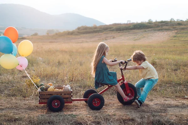 Menina e menino trabalhando na fazenda ao ar livre. Crianças pequenas bonitos desfrutando na fazenda. Vida agrícola americana. Filha e filho trabalhando na fazenda . — Fotografia de Stock