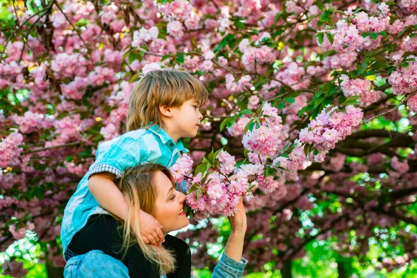 さくらの庭で肩を乗せてくれる幸せな母親。幸せな父親の日。公園で楽しい時間を過ごしている息子と父. — ストック写真