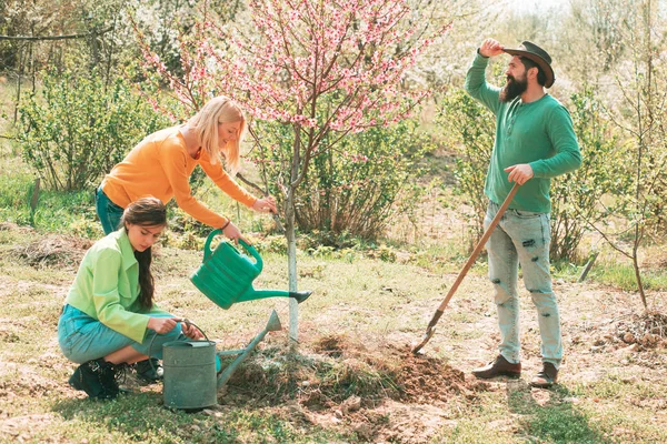 Посадіть дерево. Група друзів насолоджується весняною природою і піклується про рослини. Дівчина поливає рослини в саду навесні сонячним днем. Друзі, що працюють в саду . — стокове фото
