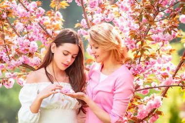 Kiraz çiçekli iki güzel bahar kızı Flover.