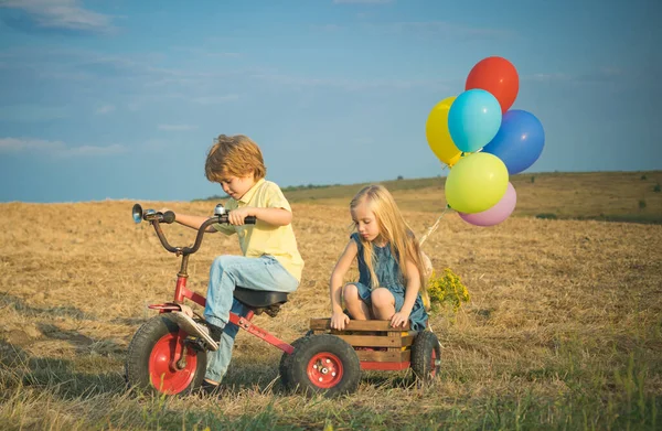 Crianças pequenas bonitos desfrutando na fazenda. Vida agrícola americana. filha e filho a trabalhar na quinta. Dois jovens agricultores. Memórias de infância . — Fotografia de Stock