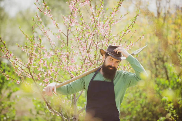 Mann arbeitet in Garten in der Nähe von Blumengarten. — Stockfoto