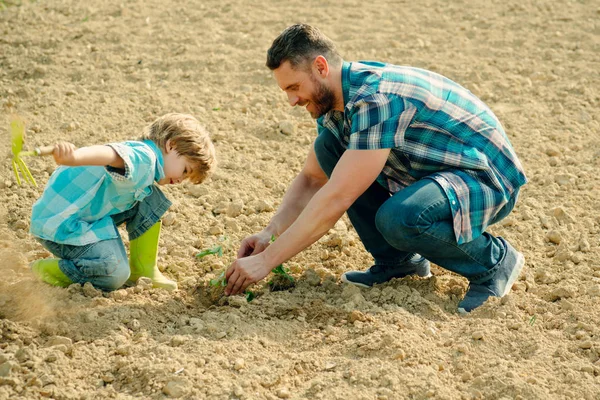 Baba ve oğul toprak zemininde çalışıyorlar. Aile ekimi. Babası küçük çocuğa bahçe işlerini öğretiyor.. — Stok fotoğraf